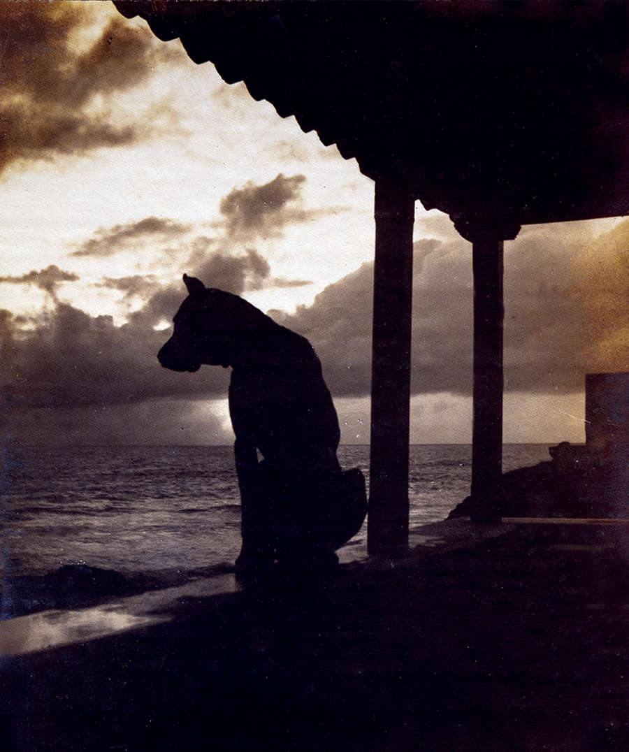 O LUGAR CERTO DA LUZ